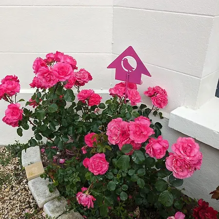 Les Jolis Nids - Rouge Gorge * La Roche-Posay