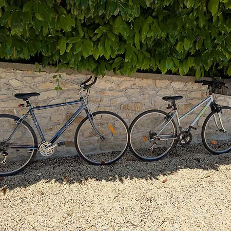 Lejlighed Les Jolis Nids - Rouge Gorge La Roche-Posay