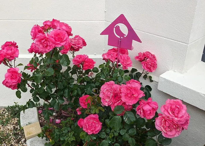 Les Jolis Nids - Rouge Gorge * La Roche-Posay